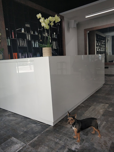 Zdjęcie salonu nr 2